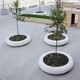樹(shù)池坐凳定制加工廠家圖