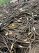 景德镇工业废旧钢丝绳回收