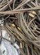 生产废旧钢丝绳回收图