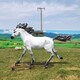 江西玻璃鋼馬雕塑生產廠家產品圖