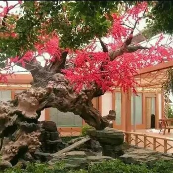 銷售假樹仿真枯樹包工包料