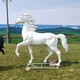 玻璃鋼馬雕塑圖