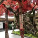 人造仿真桃花樹施工隊圖