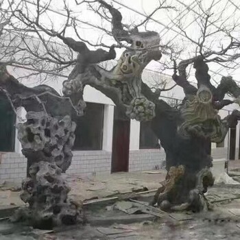 西青動物園人造假樹制作假樹施工隊-上門安裝造型優美
