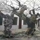假山假樹大門口圖