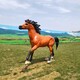 銅馬雕塑圖