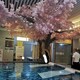 密云村口水泥假樹餐廳水泥仿真桃花樹廠家-假樹施工隊原理圖