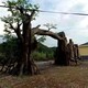生態(tài)園人造假樹制作圖