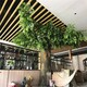 肃宁县景区仿真树室内餐厅仿真树门口样例图