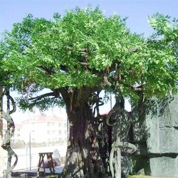 阜陽(yáng)大型生態(tài)園假樹(shù)大門(mén)制作廠家-造型優(yōu)美工期短