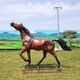 玻璃鋼雕塑馬制作產(chǎn)品圖