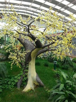 忻州餐廳水泥仿真桃花樹廠家-假樹施工隊