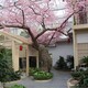 密云生態(tài)園假樹大門圖