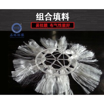 濟(jì)南生物繩填料圖片廠家-石環(huán)環(huán)保