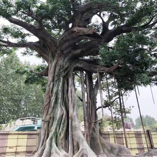 武隆生态餐厅水泥仿真假树现场施工