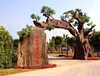 東麗大型生態(tài)園假樹大門制作廠家-造型優(yōu)美工期短