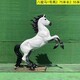 陕西玻璃钢马雕塑销售产品图