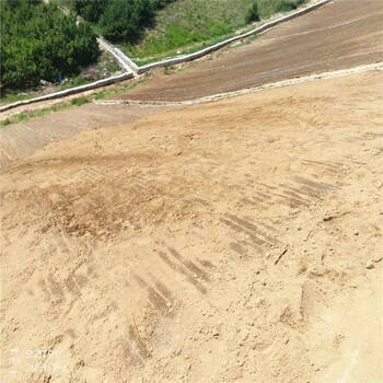 高边坡雨水冲刷治理抗冲生物毯椰丝降解后成为植被的养料