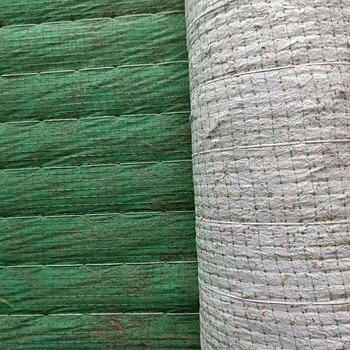 上海杨浦荒山绿化绿维椰丝毯
