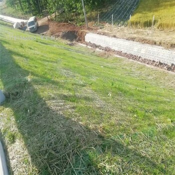 高速路邊坡綠化椰纖維毯