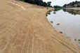鄂尔多斯高速路边坡绿化秸秆草毯椰丝降解后成为植被的养料