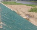 内蒙古鄂尔多斯荒山修复绿维椰丝毯