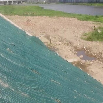 河道邊坡治理綠維椰絲毯價格