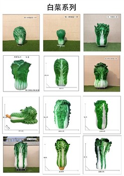 定做大白菜雕塑景觀小品