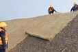 内蒙古乌海高速路边坡防护绿维椰丝毯