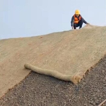北京怀柔荒山修复绿维椰丝毯