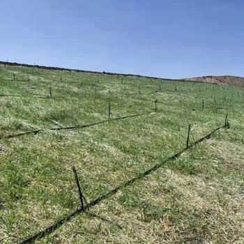 巴彥淖爾高陡邊坡固體綠化秸稈草毯稻草降解后讓草根吸收