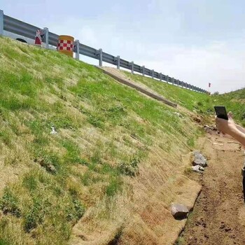 河道邊坡治理抗沖植生毯稻草降解后讓草根吸收