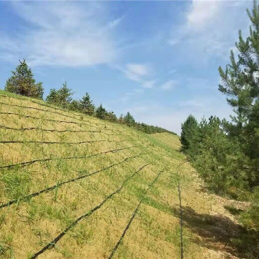 自然降解成为有机肥生态草毯废弃矿山生态恢复