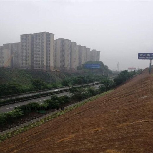 高边坡雨水冲刷治理椰纤维毯生态环保可降解