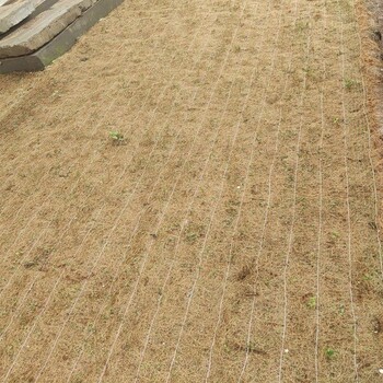 荒山山坡植被防护椰丝材质植被毯保湿保温有利于草种发芽