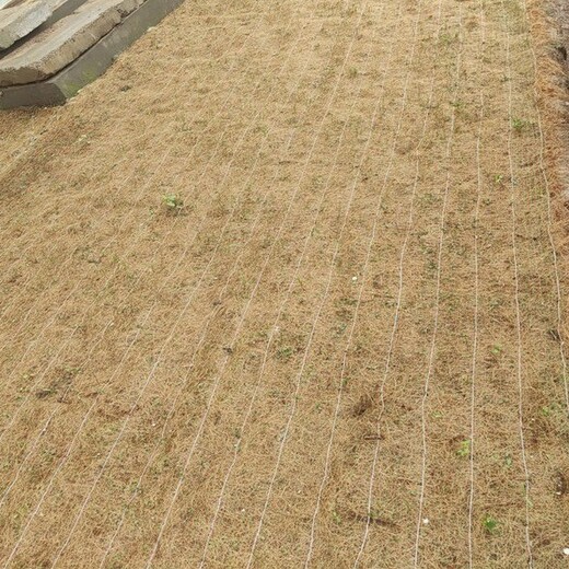 河道边坡治理稻草毯保湿保温有利于草种发芽