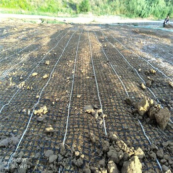 高边坡雨水冲刷治理稻草毯稻草降解后让草根吸收