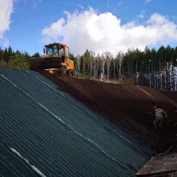 加筋防护环保草毯煤矿生态修复