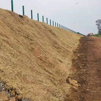 杨浦高速路边坡防护植物纤维毯