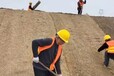天津靜?；纳叫迯?fù)綠維椰絲毯
