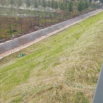 高边坡雨水冲刷治理稻草毯生态环保可降解