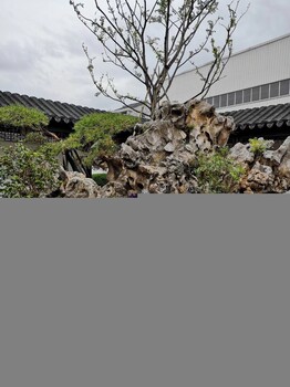 蕭山區(qū)建筑庭院設(shè)計,日式景觀設(shè)計