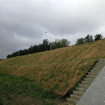 高陡边坡固土绿化稻草毯保湿保温有利于草种发芽