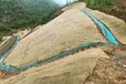 内蒙古锡林郭勒盟荒山修复绿维椰丝毯