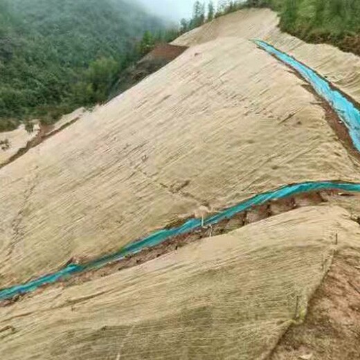 山西忻州高边坡防护绿维椰丝毯