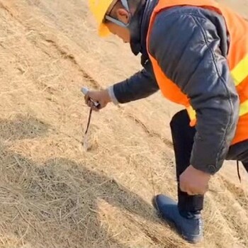 自然降解成为有机肥抗冲生物毯废弃矿山生态恢复