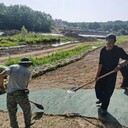 江西萍鄉(xiāng)高邊坡防護綠維椰絲毯