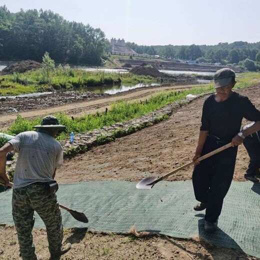天津西青高速路边坡防护绿维椰丝毯
