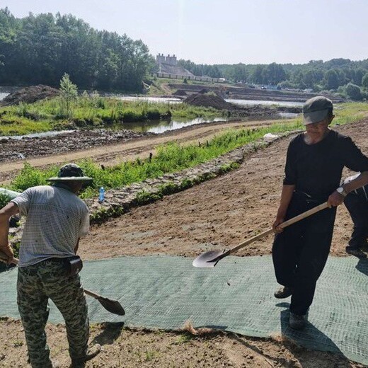 山西大同高边坡防护绿维椰丝毯