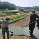 秸稈纖維毯植物纖維毯圖